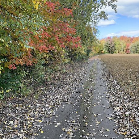 Appartamento La Ruee Vers L'Orge Trois-Rivières Esterno foto
