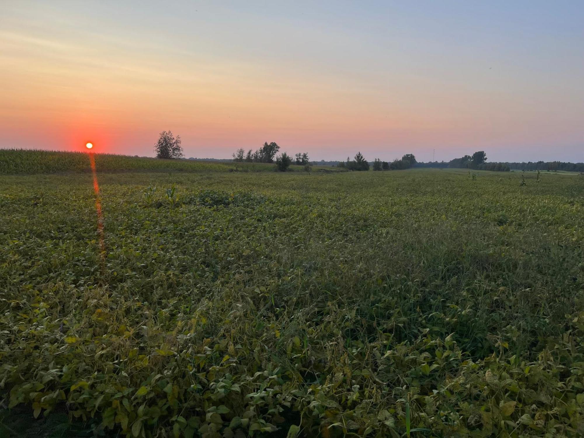 Appartamento La Ruee Vers L'Orge Trois-Rivières Esterno foto