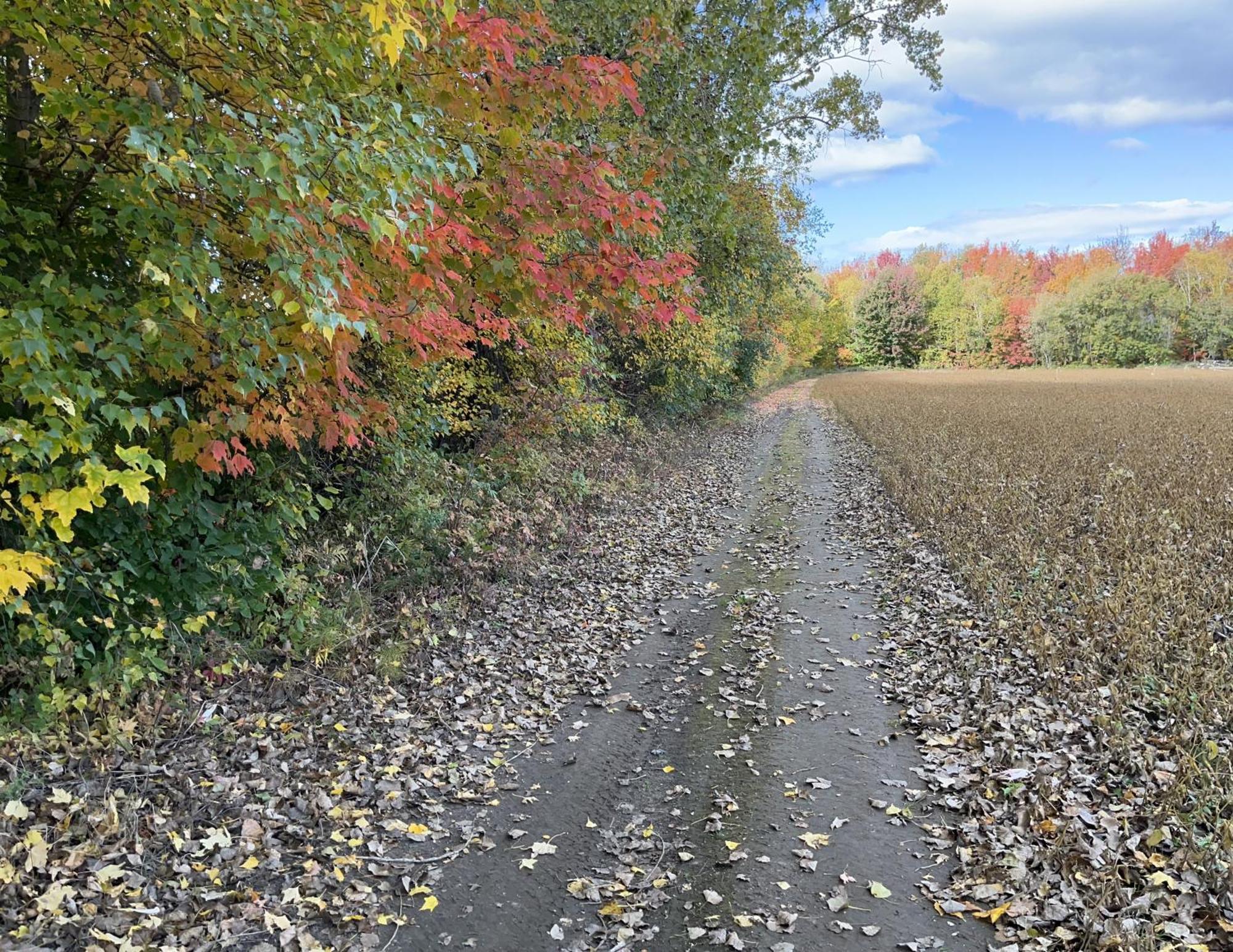 Appartamento La Ruee Vers L'Orge Trois-Rivières Esterno foto